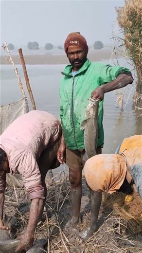 papan bhulo aa #panoaqil #shortsviral #viral #song