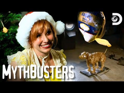 Holiday Mayhem 🎄💥 | MythBusters | Discovery