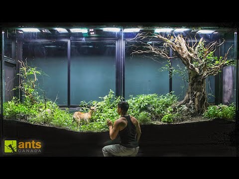 I Added a Baby Goat Into My Giant Grassland Vivarium