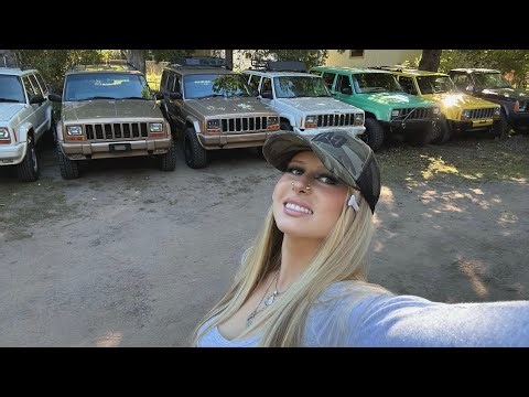 MY CAR COLLECTION 2026