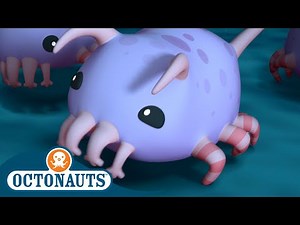 ‪@Octonauts‬ - The Sea Pigs | Season 3 | Full Episodes | Cartoons for Kids