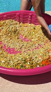 74K views · 109 reactions | Best way to serve parties for spring break! This video was produced by Network Media and Life with Alexa | The D Family Riddles Games and Hacks | Facebook