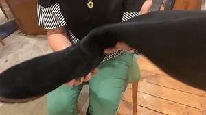 Watch Vionic Gwen boots are cute, comfortable, & water resistant! on Amazon Live