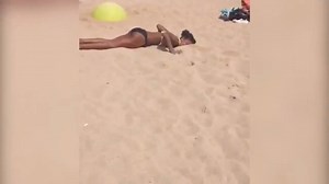 Spring Break Fail Compilation | Videb - Amazing and Crazy videos