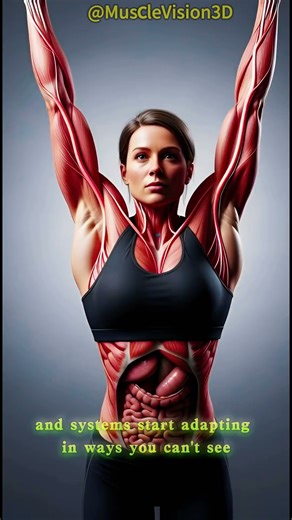 Pull Ups EXPOSED: What Really Happens Inside Your Body! #biomechanics #anatomy #chestexercises