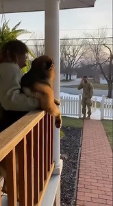 Will the dog ever be able to reunite with its owner who is enlisting in the military?