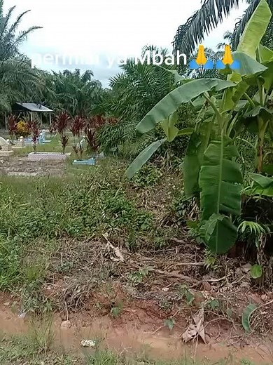 Mbah's Surprising Encounter with Mario