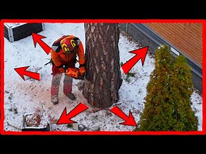 No Room to Fell a Tree? Watch This Genius Solution!