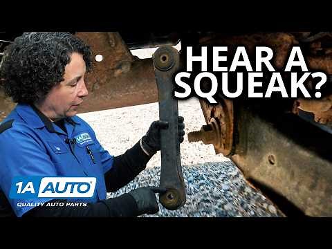 Squeaking Noise When You Go Over Bumps in Your Car or Truck? An Easy DIY Suspension Repair!