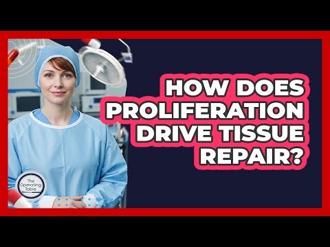 How Does Proliferation Drive Tissue Repair?