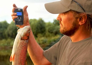 8 Best Fish Scales for Anglers - Reviews & Buying Guide