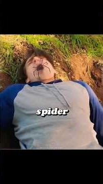 A Group of Friends Hunted by Alien Spiders | Movie Recap