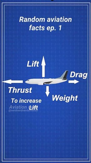 🤓AvFacts Ep. 1 ⚙️Winglets #aviation #aviationgeek #aviationlovers