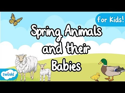 Spring Animals and their Babies | Spring Animal Facts | EYFS