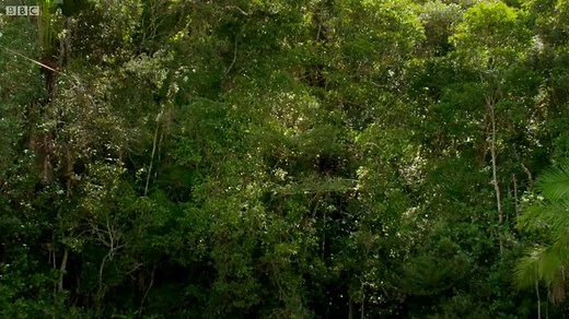 Amazing Video Shows Spider Spinning 80  Feet of Webbing