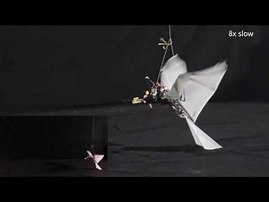 Flapping-wing robot achieves bird-style self-takeoff