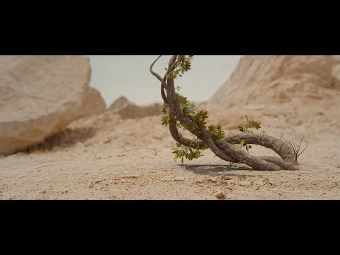 Tree Growth blender 2.8 - Tutorial