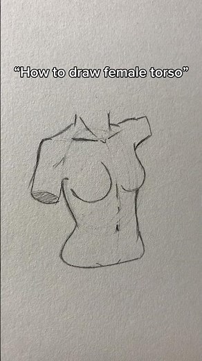 How to draw female torso
