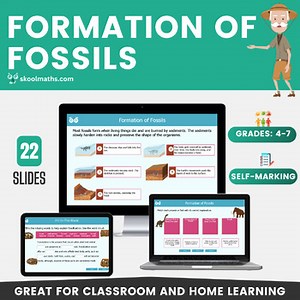 Fossil Formation | Interactive Science Lesson | Self-Grading Grades 4-7