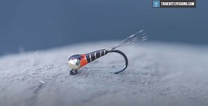 How to Tie a Perdigon Nymph