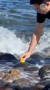 How to stick a duck to a rock