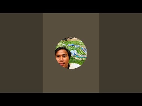 Pile Driving Analyzed PDA test