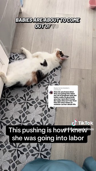 Understanding Signs of Labor: Key Indicators