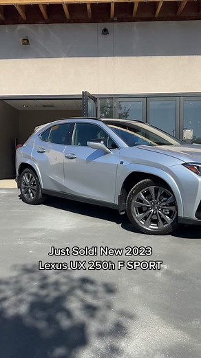 Sleek Lexus UX 250h with Iridium Paint and Black Roof
