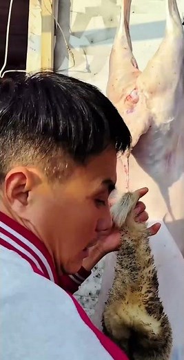 Skinless The Whole Lamb - Quick Butcher Skill