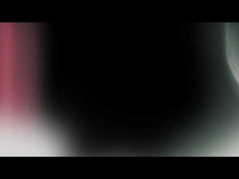 Flash Transition Overlay.