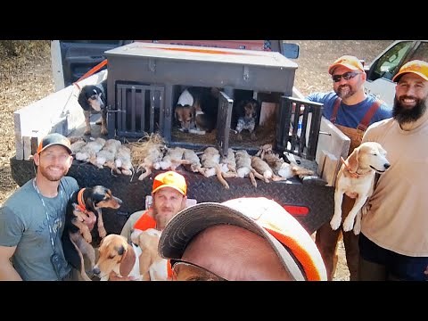 Rabbit Hunting (1ST HUNT OF 2025)