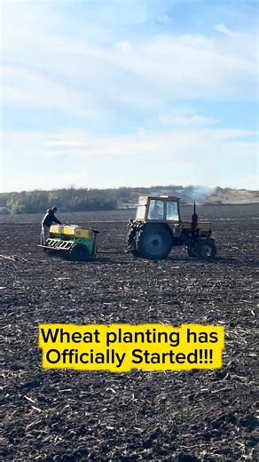 Planting In Action! Watch the Seeder Lay Down the Wheat 🚜🌾