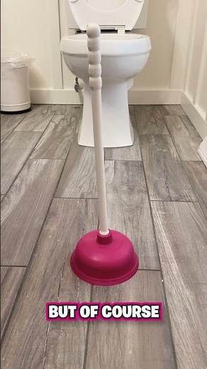 Every Type of Plunger, Explained