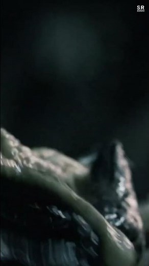 Scar predator vs Chestburster | Alien vs Predator 2004