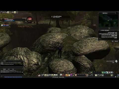 DDO - A Small Problem - Narrated Walkthrough (Phiarlan Carnival)