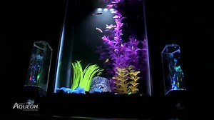 New! From Aqueon, the Jukebox 5 aquarium! Holds 5 gallons, comes with speakers that feature multi-colored dancing fluids and will play music from any 3.5mm AUX port compatible device. Aquarium has three USB ports, LED lighting and QuietFlow filtration. AVAILABLE SPRING 2015! For Customer Service call 1-888-255-4527 M-F, CST 8am to 4pm. | Aqueon Products