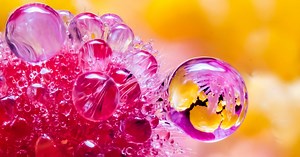 Beginner's Guide to Focus Stacking for Macro Photography