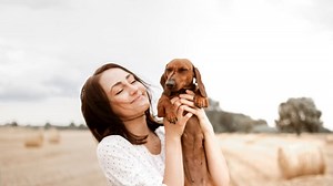 Introducing Mini Dachshund Puppy Care Tips and Tricks