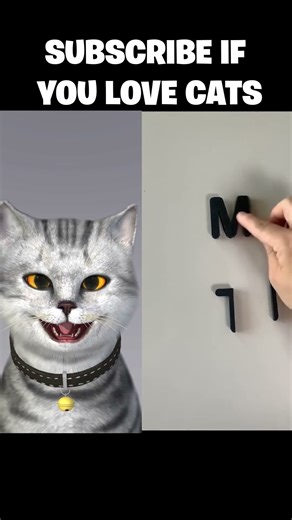 • Cat Reacts – Funny & Cute Cat Reactions