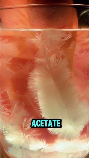 How Sodium Acetate Crystals Form – Chemistry Demo (📸: helenelmbrt)