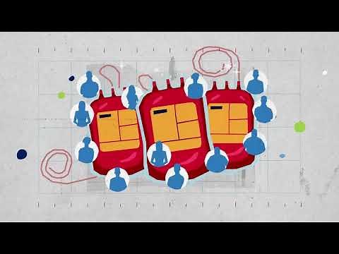 The Basics of Blood Donation: Every Drop Counts