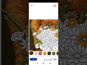 Happy Color™ – The Ultimate Color by Number Experience