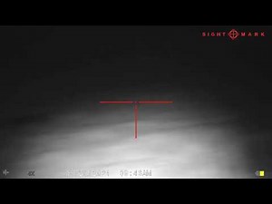 Hogs Beware | Sightmark Wraith 4K mini