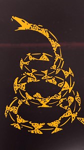 31K views · 95 reactions | Your all-in-one solution for unrivaled performance in the gym is now available in two, brand-new styles that pay tribute to our country: the Betsy Ross Edition & Don't Tread On Me Edition. | Born Primitive | Facebook