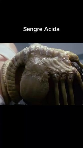 Alien: El octavo pasajero (1979) - Escena en español #alieneloctavopasajero #1979 #pelicula