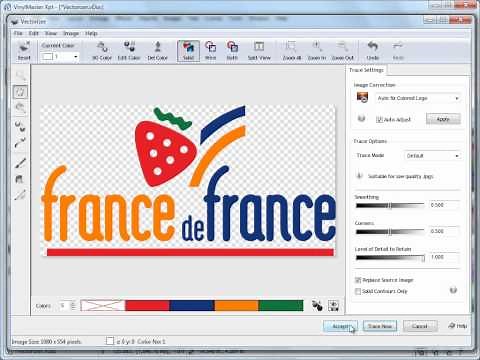 Introduction to the Vectorizer in VinylMaster