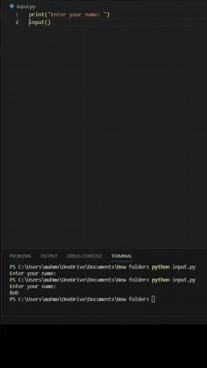 Python Input Function: A Comprehensive Guide for User Interaction