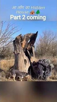 “Tree Me Ghar Banaya 🌳 | Amazing Tree House Creation | Nature Lover’s Dream Home 🏡”