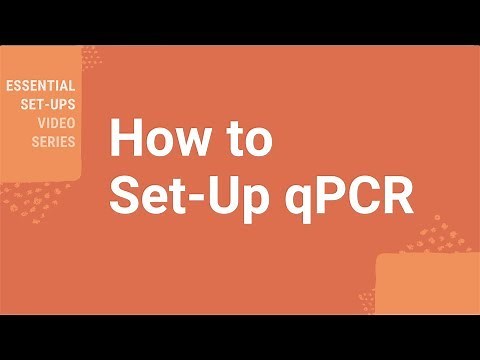 How Do I Set-up qPCR?