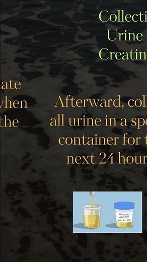 24 hour Urine Protein and Creatinine | 24 hour Urine Collection|A guide for 24-hour urine collection